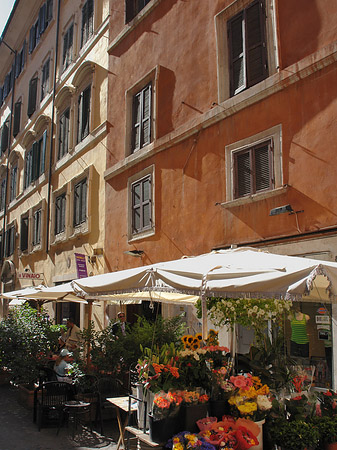 Blumen in der Altstadt Fotos