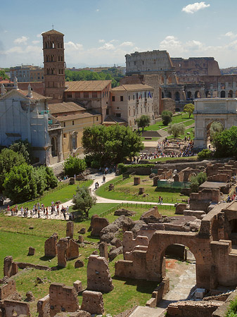 Blick auf das Forum Romanum Foto 