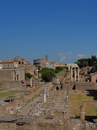 Fotos Forum Romanum | Rom