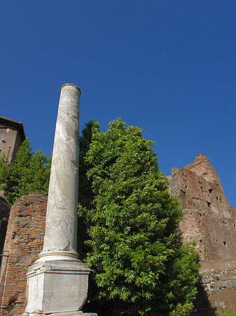 Foto Säule am Tempel - Rom