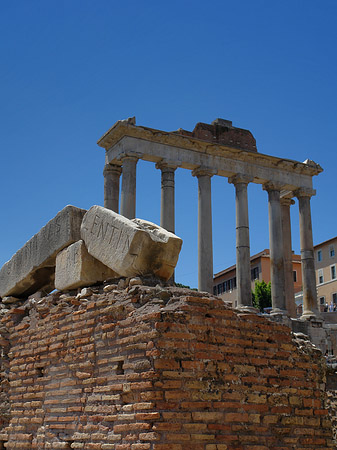 Rostra Foto 