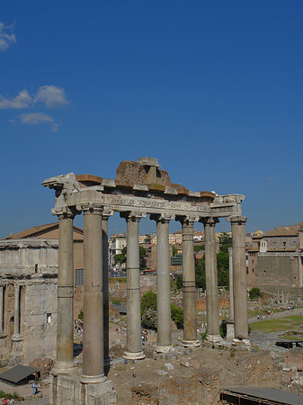 Rostra Foto 