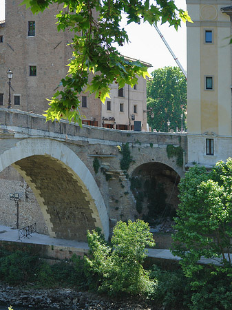 Foto Ponte Fabricio zwischen Bäumen - Rom