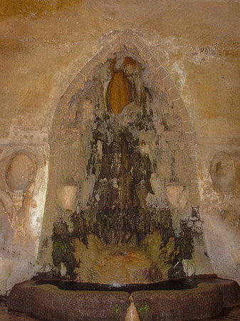 Foto Kalksteinbrunnen am Palatin