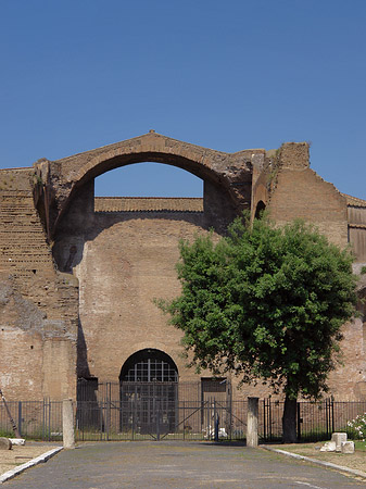 Fotos Santa Maria degli Angeli | Rom