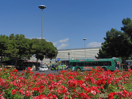 Foto Blumen am Bahnhof