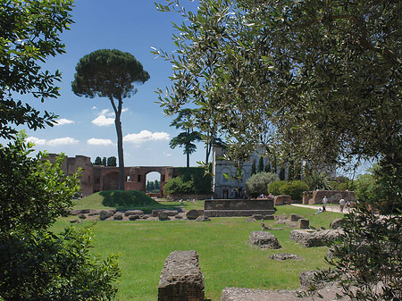 Foto Domus Augustana und das Museo Palatino - Rom