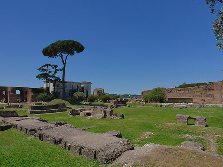 Domus Augustana und das Museo Palatino Fotos