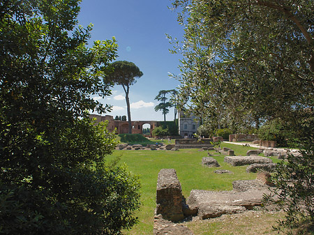 Domus Augustana und das Museo Palatino