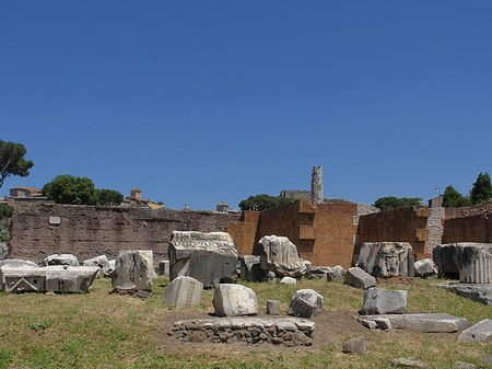 Basilica Aemilia