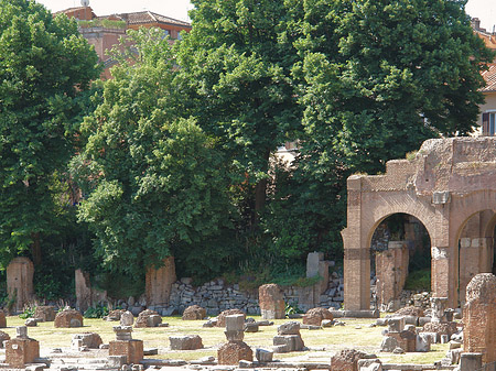 Foto Basilica Iulia - Rom