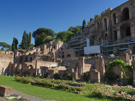 Basilica Iulia