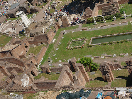 Blick auf das Forum Romanum Foto 
