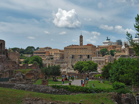 Fotos Forum Romanum | Rom