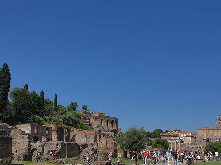 Forum Romanum Foto 