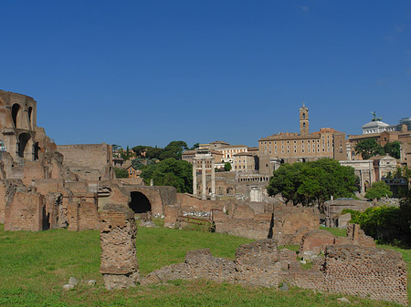 Forum Romanum Foto 