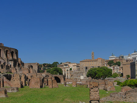 Forum Romanum Foto 