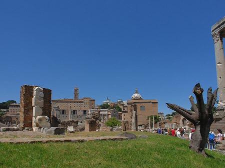 Fotos Forum Romanum | Rom