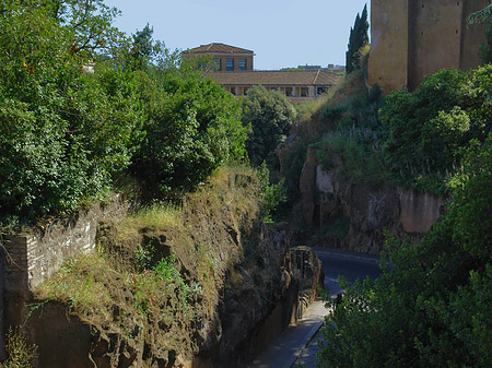 Foto Forum Romanum - Rom