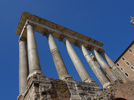 Foto Rostra