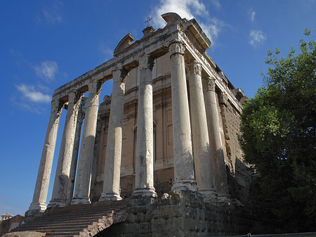 Tempel des Antoninus Pius und der Faustina Foto 