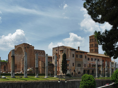 Foto Tempel der Venus - Rom