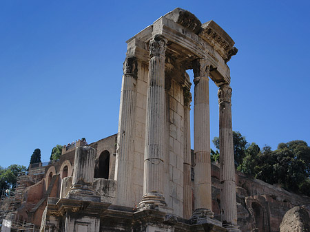 Tempel der Vesta Foto 