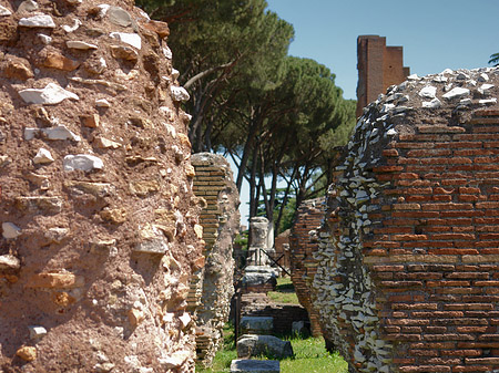 Ruinen am Apollo Tempel Fotos