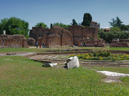 Fotos Ruinen am Apollo Tempel | Rom