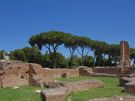 Fotos Ruinen am Apollo Tempel | Rom