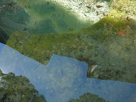 Wasser am Palatin