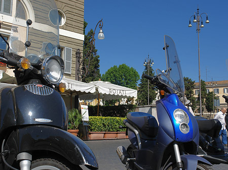 Fotos Mofas an der Piazza del Popolo | Rom