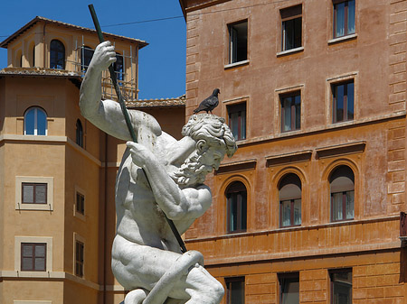 Neptun Fotos