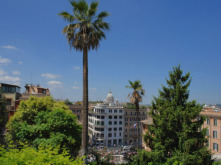Foto Palme an der Spanischen Treppe - Rom